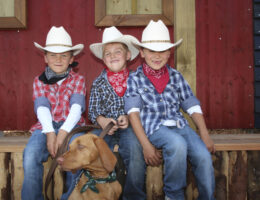 München Tourismus, Busreisen Heitauer, www.heitauer.de, reisen Heitauer, Busse Busreisen Chiemsee, Reisen Chiemsee, Bus Chiemsee, Busse Chiemsee, Chiemsee Busreisen, Chiemsee Reisen, Chiemsee Bus, Tagesausflüge Chiemsee, Ausflüge Chiemsee, Tagesfahrt Chiemsee, Busreisen Chiemgau, Reisen Chiemgau, Busreisen Chiemgau, Reisen Chiemgau, Bus Chiemgau, Busse Chiemgau, Chiemgau Busreisen, Chiemgau Reisen, Chiemgau Bus, Tagesausflüge Chiemgau, Ausflüge Chiemgau, Tagesfahrt Chiemgau, Heitauer, Bus Heitauer, Heitauer Reisen, Heitauer Europa, Heitauer Österreich, Spaß, bequem Reisen, bequem Busreisen, bequem verreisen , Freude am Reisen, Busreisen, Reisen mit dem Bus, bequem reisen mit dem Bus, schöne Aussicht, Luxus Reisen mit dem Bus, Erleben, Erlebnisreisen mit dem Bus, Urlaubsreisen mit dem Bus, Vereinsfahrten, Gruppenreisen, Tagesreisen, Schulverkehr, Personenbeförderung, unsere Busse, bequeme Sitze mit angenehmen Sitzabstand, verfügen über Klimaanlage, WC und Bordküche, DVD & Unterhaltung an Bord, www.busreisen-heitauer.de Liebe Reise Gäste, Qualität und Komfort sind die Grundlagen für zufriedene Kunden. An diesem Ziel halten wir auch nach über acht Jahrzehnten Reiseerfahrung konsequent fest.Mit unseren modernen Reisebusse haben wir einen weiteren Schritt zu noch mehr Bequemlichkeit beim Busreisen gewagt. Unsere modernen Neoplan Reisebusse mit großem Sitzabstand erfreuen sich nach wie vor großer Beliebtheit. Doch auch alle anderen Bausteine einer Reise haben unsere volleste Aufmerksamkeit. Ein gutes Hotel, eine fachkundige Reiseleitung, ein aufmerksamer Fahrer und eine umfassende Organisation soll Ihnen auch für die nächste Reisesaison höchsten Urlaubsgenuss garantieren. Alle Mitarbeiter und Familie Heitauer werden nach Kräften versuchen, Ihre nächste Busreise wieder zu einem vollen Erfolg werden zu lassen.Reisen bedeutet für den stressgeplanten Menschen schon immer etwas mehr, als nur einfach irgendwo hinzufahren. haben bequeme Sitze mit angenehmen Sitzabstand verfügen über Klimaanlage, WC und Bordküche DVD & Unterhaltung an Bord werden von unseren beiden Mechanikern sorgfältig gewartet Träumen und verlieben erlaubt! Die Stadt der Liebe ist mit dem Bus gut zu erreichen und bietet Alles was man für einen nettes Wochenende und Kurzurlaub braucht. Zu den Klassikern der Busreisen zählt ohne Zweifel die Mozart-Stadt Wien. Erleben sie die Wiener Kaffeehaus-Kultur. Berlin ist die Stadt des Wandels. Mit den zahlreichen Museen, Shows, Theater, Restaurants und Bars ideal für eine schöne Busreisen. Rom - die ewige Stadt. Der Petersdom, das Pantheon und das Colosseum zählen zum Pflichtprogramm jeder Busreise. Eine Busreise in die Schweiz lässt sich sehr gut mit den traditionsreichen Bergbahnen, dem Glacier- und dem Bernina-Express verbinden. Busreisen – gemeinsam, sicher & bequem Ein Merkmal von Busreisen ist das gemeinschaftliche Reisen als Gruppe. Das Reiseerlebnis unterscheidet sich grundlegend von anderen Reisearten und ist für viele Reisegäste ein maßgeblicher und wichtiger Bestandteil der Reise. Der Austausch unter den Reisenden und das Zusammenspiel mit Busfahrer und Reiseleiter runden das Reiseerlebnis einer Busreise ab. Die Hauptreiseziele von Busreisen sind Deutschland und das angrenzende europäische Ausland, z.B. Italien, Frankreich und Österreich. Sicherheit spielt bei Busreisen ebenfalls eine wichtige Rolle. Der Bus ist ein überaus sicheres Transportmittel, das belegen sämtliche Unfallstatistiken. Hohe Sicherheitsstandards und gesetzliche Regeln machen Busreisen sicher. Und auch in puncto Bequemlichkeit ist der Reisebus modern und auf das Wohlbefinden der Reisegäste ausgelegt. Reisebusse sind mit verstellbaren Sitzen und einem angenehmen Sitzabstand ausgestattet. Darüber hinaus verfügen Reisebusse über TV, Klimaanlage und Toilette. Der Umwelt zur Liebe – Busreisen In der heutigen Zeit hat das Thema umweltbewusstes Reisen einen so hohen Stellenwert wie noch nie. Zu recht, denn immerhin sollen auch zukünftige Generationen die Möglichkeit haben die Natur bewusst und mit ihrer ganzen Schönheit erleben zu können. Busreisen sind im Vergleich zu anderen Reisearten klimaschonend. Ein weiterer, guter Grund die nächste Reise mit dem Bus zu unternehmen – umweltbewusste Busreisen. Um einen Bus für eine gemeinsame Busfahrt, eine Klassenfahrt oder eine Veranstaltung zu mieten, bieten sich unterschiedliche Möglichkeiten an. Nahezu jedes Busunternehmen in Deutschland bietet die Möglichkeit einen Bus zu mieten. Die Anmietung eines Reisebusses erfolgt dabei in der Regel immer mit Busfahrer. Die Kosten für die Anmietung eines Busses mit Fahrer richten sich einerseits nach der Größe, der Ausstattung oder auch dem Alter des Busses, andererseits auch nach der saisonalen Nachfrage, der Strecke und ggf. weiteren Faktoren. In Ferienzeiten, zu Messeterminen und an Feiertagen muss man ggf. mit etwas höheren Kosten zur Anmietung rechnen. Wir planen Ihre Gruppenreise! Dank unserer langjährigen Erfahrung auf dem Gebiet der individuellen Gruppenreisen sind wir Ihr richtiger Partner. Wir planen und organisieren Ihre Gruppen- und Vereinsausflüge oder Betriebsausflüge und Klassenfahrten ganz individuell auf Ihre Wünsche abgestimmt. Egal ob es nur um die Busfahrt geht oder mit Hotel - senden Sie uns einfach Ihre Anfrage an info@heitauer.de oder nutzen Sie unser Anfrageformular. Dank unserer langjährigen Erfahrung auf dem Gebiet der individuellen Gruppenreisen sind wir Ihr richtiger Partner. Wir planen und organisieren Ihre Gruppen- und Vereinsausflüge oder Betriebsausflüge und Klassenfahrten ganz individuell auf Ihre Wünsche abgestimmt. Dank unserer langjährigen Erfahrung auf dem Gebiet der individuellen Gruppenreisen sind wir Ihr richtiger Partner. Wir planen und organisieren Ihre Klassenfahrten ganz individuell und auf Ihre Wünsche abgestimmt. - egal ober per Bus oder Flug. Klassenfahrten, Klassenfahrten mit dem Bus, mit dem Bus, Busreisen für Klassen, 7. Klasse, 8. Klasse, 9. Klasse, 10. Klasse, Reisen bedeutet für den stressgeplagten Menschen schon immer etwas mehr, als nur einfach irgendwo hinzufahren CURCUS Krone, Circus, Krone, Circus Krone München, Passionsspiele Erl, 1. Tag: Anreise über Innsbruck – Brenner – Bozen- Verona – Mailand zum Lago Maggiore nach Stresa. Unser **** Hotel Milan Speranza Au Lac liegt im Zentrum an der Seepromenade. Abendessen im Hotel. 2. Tag: Nach dem Frühstück erwartet uns der Reiseleiter zum Ausflug mit einem Privatboot zu den Borromäischen Inseln. Die Isola Bella beeindruckt durch einen prunkvollen Barockpalast in einem wunderschönen italienischen Garten mit Pflanzen aus aller Welt. Auf der Isola dei Pescatori entdecken Sie ein malerisches Fischerdorf . Die originellen Wohnhäuser mit Atmosphäre erinnern an vergangene Zeiten. Im Anschluss können Sie noch in der schönen Altstadt des berühmten Kurortes Stresa bummeln. Abendessen im Hotel. 3. Tag: Heute erwartet uns der Reiseleiter für einen Ausflug nach Locarno mit Stadtführung. Das Zentrum der Stadt bildet die Piazza Grande, einer der schönsten Plätze der Schweiz mit vielen Cafes und Restaurants. Am Nachmittag geht es in den benachbarten mondänen Kurort Ascona, einst Fischerdorf, heute Domizil der Künstler und der High Society. Abendessen im Hotel 4. Tag: Heimreise über den Comer See – St. Moritz – Landeck – Innsbruck – in die Heimatorte., Bodensee Sizilien, Palermo, Taormina, Monreale Ätna Cefalu, 7 Tage Sizilien,sizilien-das-schmuckstueck-sueditaliens, einsteigen, erleben, genießen, Busreise, Busreisen Heitauer, 100 Jahre Busreisen Heitauer, Jubiläum