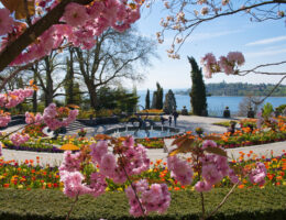 © Insel Mainau / Peter Allgaier
