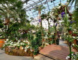 © Insel Mainau / Peter Allgaier